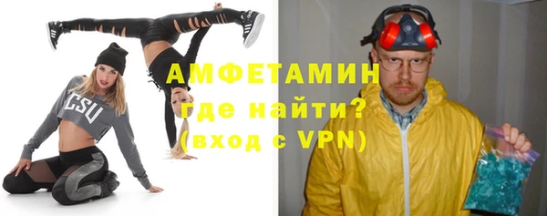 индика Богданович